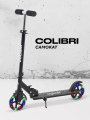 Самокат 2-х колесный Rant Colibri Black
