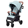 Коляски прогулочные Rant Vega 2023