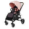 Прогулочные коляски Rant