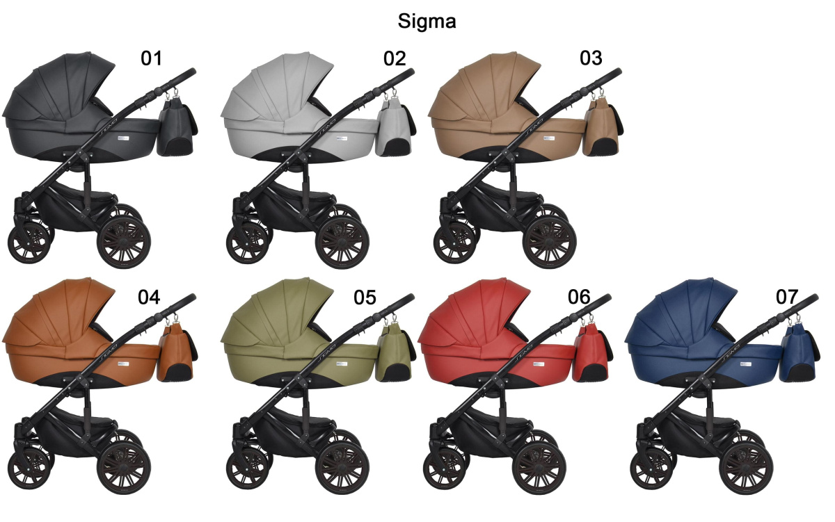 Коляска 2 в 1 Riko Sigma 02 серый