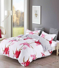 КПБ Dream Fly семейный DF05-258-50 код1112