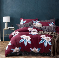 КПБ Dream Fly семейный DF05-272-70 код1112