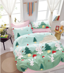 Twill евро 2 наволочки в ПВХ TPIG3-1400 КОД1171