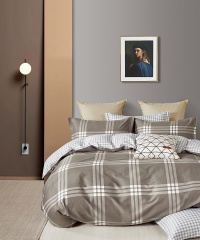 Twill евро 2 наволочки в ПВХ TPIG3-1898 КОД1171