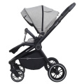 Коляска 3 в 1 Rant Flex Trends Light Grey серый