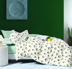 Постельное белье Tango Novella 2-спальный 2 наволочки TS02-X304-70 код1002