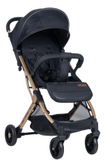 Коляска детская прогулочная Farfello Comfy Go (Golden black/ золотой черный (золото) CG-99)