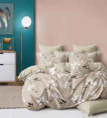 КПБ Dream Fly 2 спальный DF02-525-70 код1179