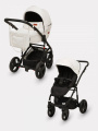 Коляска 2 в 1 Riko Basic Aicon Ecco 02 белый