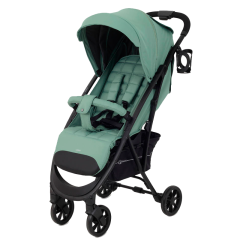 Коляска прогулочная Rant Largo 2024 Forest green