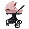 Коляска 2 в 1 Rant Flex 2025