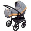 Коляска Rant Patio 2 в 1